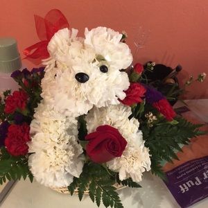 Meet your Posher, Kennya